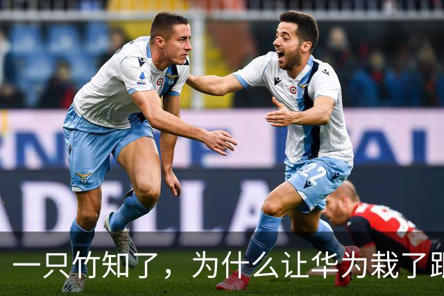 一只竹知了，为什么让华为栽了跟头？