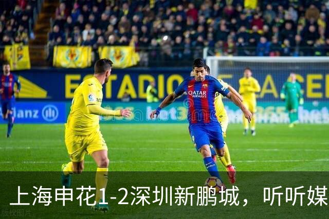 上海申花1-2深圳新鹏城，听听媒体专家怎么说，尼尔森一针见血