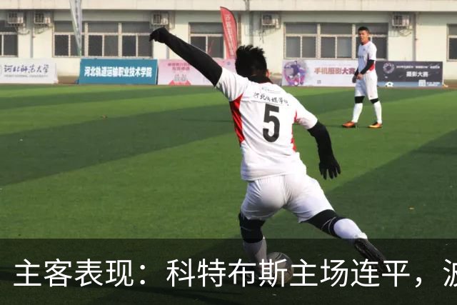主客表现：科特布斯主场连平，波鸿客场近况转弱