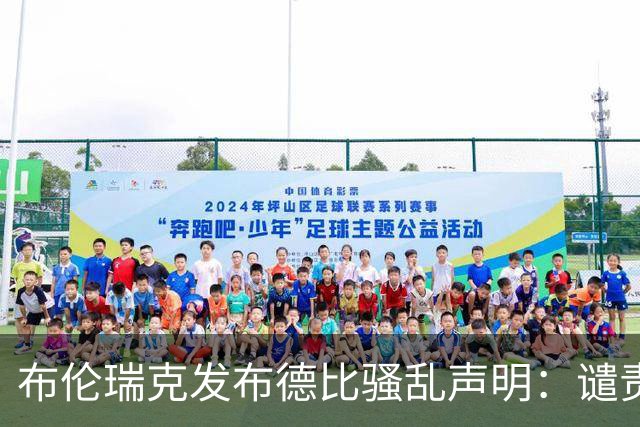 布伦瑞克发布德比骚乱声明：谴责暴力，但不认可安保方案被评零分