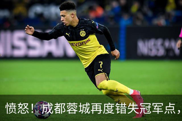 愤怒！成都蓉城再度错失冠军点，球迷喊话：阿洛伊西滚蛋