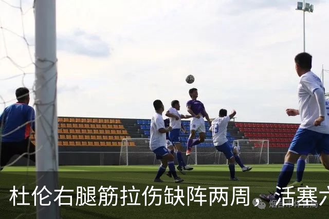 杜伦右腿筋拉伤缺阵两周，活塞六场硬仗内线告急
