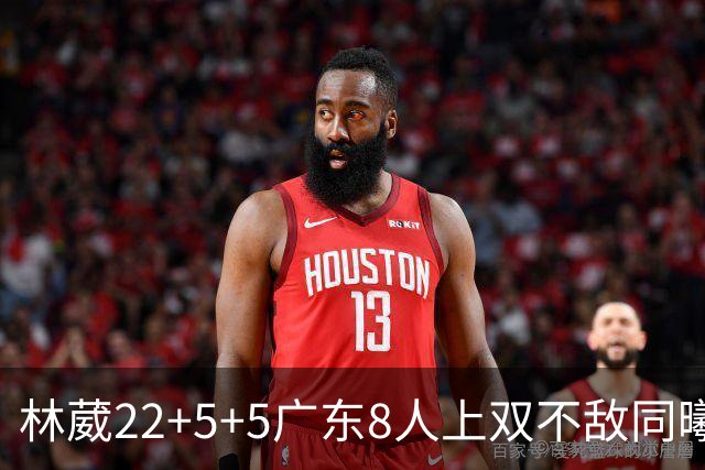 林葳22+5+5广东8人上双不敌同曦 皮特森34分