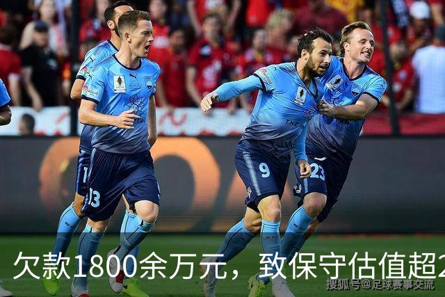 欠款1800余万元，致保守估值超2.5亿元的295套房产被查封3年