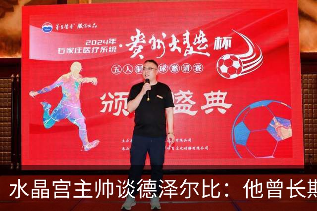 水晶宫主帅谈德泽尔比：他曾长期是我的榜样 向他学习过如何踢球