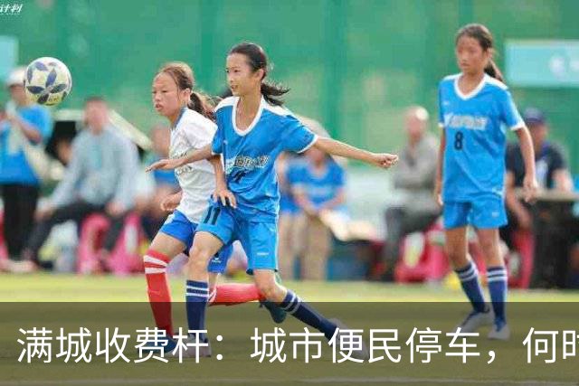 满城收费杆：城市便民停车，何时沦为全民“硬收割”？