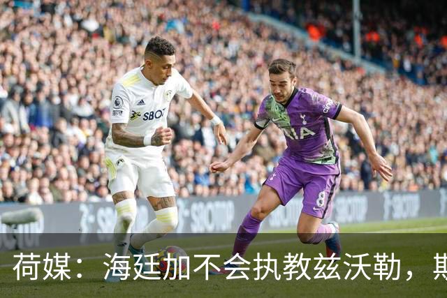 荷媒：海廷加不会执教兹沃勒，斯塔姆也难接手