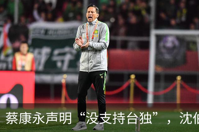 蔡康永声明“没支持台独”，沈伯洋指向大陆，岛内网红一句话亮了