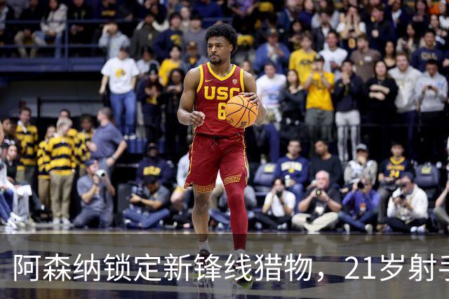 阿森纳锁定新锋线猎物，21岁射手8场7球领跑意甲