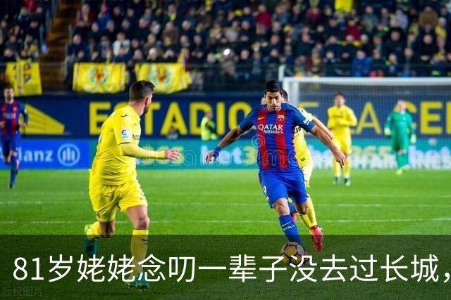 81岁姥姥念叨一辈子没去过长城，外孙用红高粱在院子里铺了一座，央视都转了