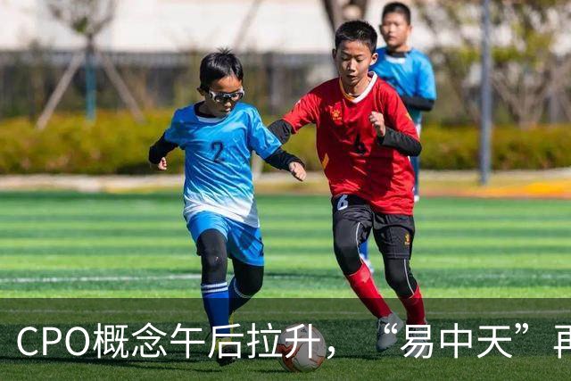 CPO概念午后拉升，“易中天”再密集回应：在手订单充足、经营正常